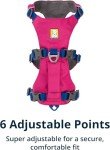 Ruffwear, Flag line Dog Harness, Lightweight and Reflective, No Pull Dog Lift Harness for Hiking, Running and Everyday Use, Alpenglow Pink, Medium