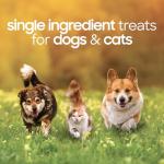 Freeze-Dried Pork Heart Treats for Dogs and Cats