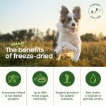 Freeze-Dried Raw Dog Food - Beef Recipe 20oz