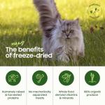 Raw Freeze-Dried Beef Cat Food Bites, 10oz