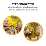 Ruffwear, Hi & Light, Everyday Lightweight Dog Harness, Trail Running, Walking, Hiking, All-Day Wear, Sage Green, Medium