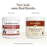 Calming Chews with Reishi & Lion’s Mane