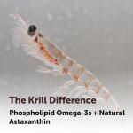 Antarctic Krill Oil Supplement for Pets, 1000mg