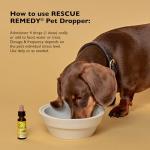 Bach RESCUE REMEDY PET Dropper 10mL, Natural Stress Relief, Calming for Dogs, Cats, & Other Pets, Homeopathic Flower Essence, Thunder, Fireworks, Travel, Separation, Sedative-Free