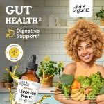 Wild & Organic Licorice Root Tincture - Digestive, Lung & Skin Support - Licorice Root Extract Liquid Drops - Vegan, Sugar & Alcohol-Free Supplement - 4 fl oz