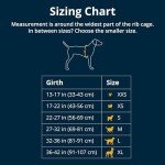 Ruffwear, Float Coat, Dog Life Jacket, Swimming Safety Vest with Handle, Blue Dusk, Small