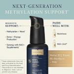 Methyl Charge: Energy & Detox Support for Pets