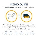 Ruffwear, Undercoat Water Dog Jacket, Insulated Amphibious Gear for Cold Water Swimming, Campfire Orange, Medium