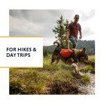 Ruffwear, Front Range Dog Day Pack, Backpack with Handle for Hikes & Day Trips, River Rock Green, Small