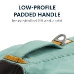 Ruffwear, Front Range Dog Day Pack, Backpack with Handle for Hikes & Day Trips, River Rock Green, Small