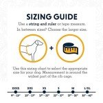 Ruffwear, Hi & Light, Everyday Lightweight Dog Harness, Trail Running, Walking, Hiking, All-Day Wear, Blue Atoll, Large/X-Large