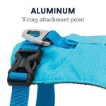 Ruffwear, Hi & Light, Everyday Lightweight Dog Harness, Trail Running, Walking, Hiking, All-Day Wear, Blue Atoll, Large/X-Large
