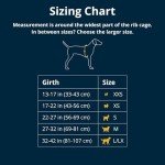 Ruffwear, Front Range Dog Harness, Reflective and Padded, No Pull Harness for Training and Everyday, Blue Pool, Small