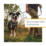 Ruffwear, Hi & Light, Everyday Lightweight Dog Harness, Trail Running, Walking, Hiking, All-Day Wear, Alpenglow Pink, Small