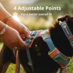 Ruffwear, Front Range Dog Harness, Reflective and Padded, No Pull Harness for Training and Everyday, Blue Pool, Small