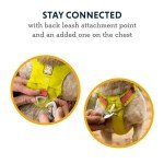 Ruffwear, Hi & Light, Everyday Lightweight Dog Harness, Trail Running, Walking, Hiking, All-Day Wear, Alpenglow Pink, Small