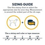 Ruffwear, Web Master, Multi-Use Support Dog Harness, Hiking and Trail Running, Service and Working, Everyday Wear, Blaze Orange, X-Small