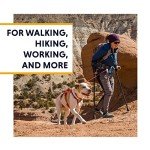 Ruffwear, Web Master, Multi-Use Support Dog Harness, Hiking and Trail Running, Service and Working, Everyday Wear, Blaze Orange, X-Small