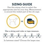 Ruffwear, Hi & Light, Everyday Lightweight Dog Harness, Trail Running, Walking, Hiking, All-Day Wear, Alpenglow Pink, Small