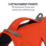 Ruffwear, Web Master, Multi-Use Support Dog Harness, Hiking and Trail Running, Service and Working, Everyday Wear, Blaze Orange, X-Small