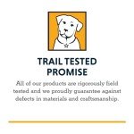 Ruffwear, Hi & Light, Everyday Lightweight Dog Harness, Trail Running, Walking, Hiking, All-Day Wear, Alpenglow Pink, Small