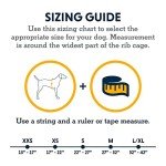 Ruffwear, Swamp Cooler Zip Dog Vest, Evaporative Cooling for Hot Weather, Aurora Teal, XX-Small