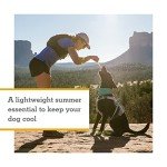 Ruffwear, Swamp Cooler Dog Neck Gaiter, Evaporative Cooling Gear for Hot Weather, Aurora Teal/Heliotrope Purple, Large