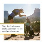 Ruffwear, Swamp Cooler Dog Harness, Lightweight with Evaporative Cooling for Hot Weather, Heliotrope Purple, Large/X-Large