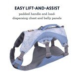 Ruffwear, Swamp Cooler Dog Harness, Lightweight with Evaporative Cooling for Hot Weather, Heliotrope Purple, Large/X-Large