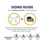 Ruffwear, Switchbak Dog Harness, Pack & Harness Hybrid for Day Trips & Everyday Use, Red Sumac, Small