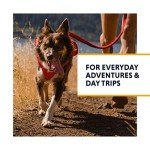 Ruffwear, Switchbak Dog Harness, Pack & Harness Hybrid for Day Trips & Everyday Use, Red Sumac, Small