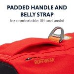 Ruffwear, Switchbak Dog Harness, Pack & Harness Hybrid for Day Trips & Everyday Use, Red Sumac, Small