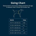 Ruffwear, Load Up Dog Harness, Strength-Rated Car Safety Harness with Universal Seat Belt Attachment, Slate Blue, Medium