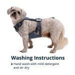 Ruffwear, Load Up Dog Harness, Strength-Rated Car Safety Harness with Universal Seat Belt Attachment, Slate Blue, Medium