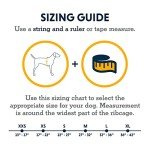 Ruffwear, Furness Dog Jacket, Snow, Ice and Extreme Cold Protection, Red Sumac, Medium