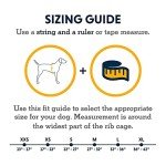 Ruffwear, Dirtbag Dog Towel, Camping and Outdoor Absorbent Coat, Aurora Teal, Small