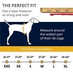 RUFFWEAR Jacket for Dogs, Windproof and Waterproof, Miniature Breeds, Size: XX-Small, Blue Atoll, Vert Jacket, 0575-409S2