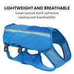Ruffwear, Trail Runner Running Vest, with Hydration Bladder, Blue Pool, Medium