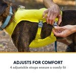 Ruffwear, Trail Runner Running Vest, with Hydration Bladder, Blue Pool, Medium