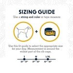 Ruffwear, Singletrak Dog Pack, Hiking Backpack with Hydration Bladders, Red Currant, Small