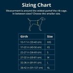 Ruffwear, Climate Changer Quick Drying, Breathable Fleece Jacket for Dogs, Blue Jay, Medium