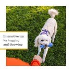 Ruffwear, Gourdo Natural Rubber Throw Toy for Dogs with Rope Handle, Sage Green, Small