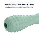 Ruffwear, Gourdo Natural Rubber Throw Toy for Dogs with Rope Handle, Sage Green, Small