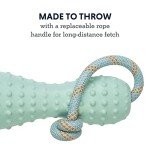 Ruffwear, Gourdo Natural Rubber Throw Toy for Dogs with Rope Handle, Sage Green, Small