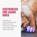 KONG Senior - Dog Toy with Gentle, Natural Rubber - Durable Dog Toy for Older Dogs - Use Treats with Stuffable Chew Toy - Treat Toy for Chewing & Fetching - for Small Dogs