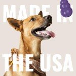 KONG Senior - Dog Toy with Gentle, Natural Rubber - Durable Dog Toy for Older Dogs - Use Treats with Stuffable Chew Toy - Treat Toy for Chewing & Fetching - for Small Dogs