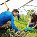 BARAYSTUS Garden Hand Tiller and Cultivator Tool