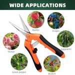 3-Pack Stainless Steel Pruning Shears and Snips