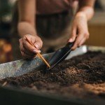 Fiskars 6-Piece Vegetable Garden Tool Set