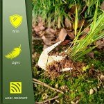 Stainless Steel Stand Up Hand Weeder Tool